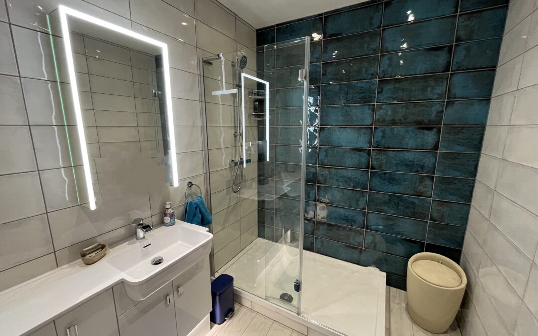 Blue and White Walk-in Shower Room