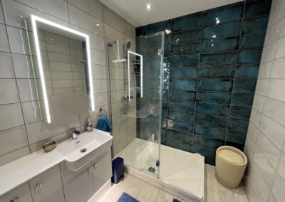 Blue and White Walk-in Shower Room